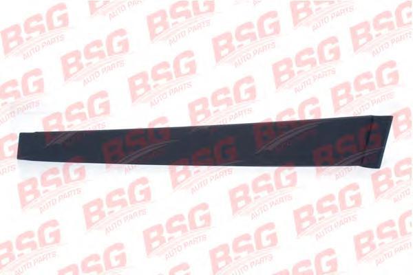 BSG30925005 BSG Облицовка / защитная накладка, стекло двери