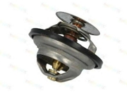 D2IV005TT THERMOTEC Термостат