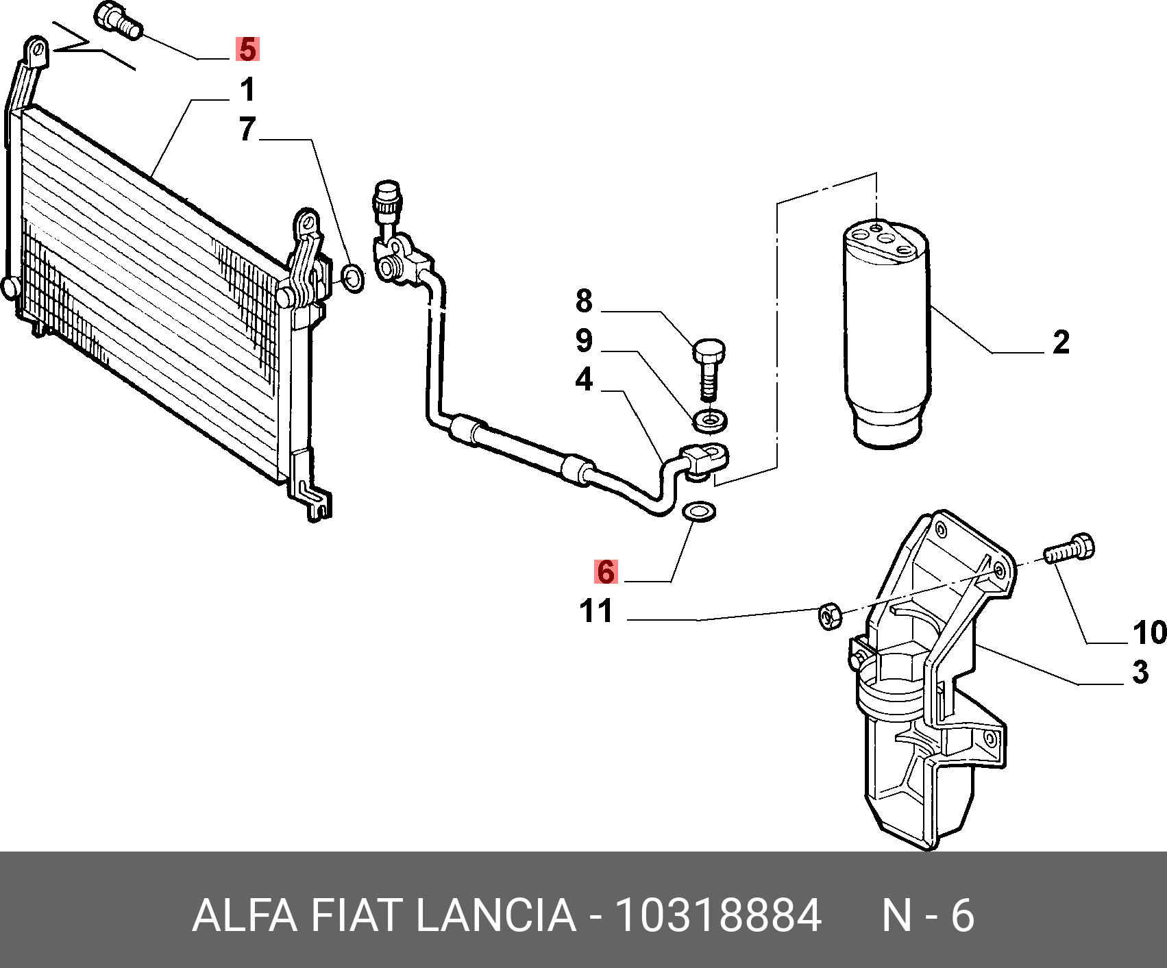 10318884 FIAT/ALFA/LANCIA Уплотнительное кольцо