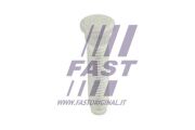 FT21529 FAST ШПИЛЬКА КОЛЕСА FORD TRANSIT 00>