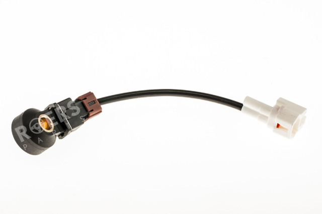 RP22060AA070 ROERS-PARTS Датчик детонации