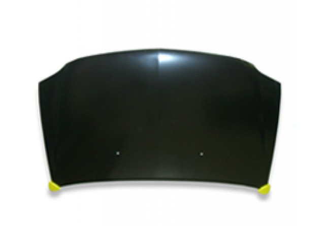 RN20022A TYG Капот