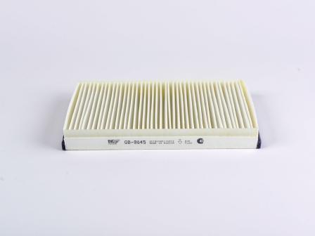 GB9845 BIG FILTER Фильтр салонный