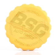 BSG65551001 BSG AUTO PARTS Крышка расширител. бачка