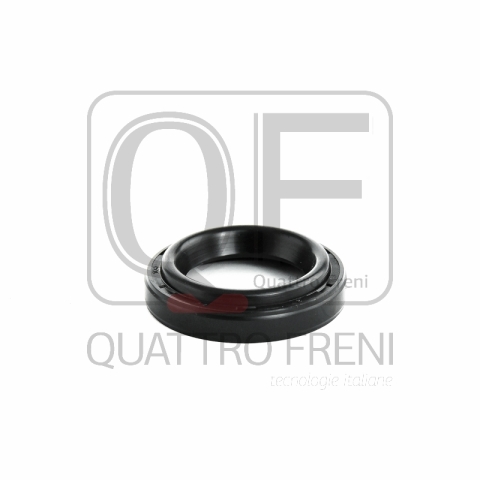 QF53A00013 QUATTRO FRENI Кольцо уплотнительное свечного колодца