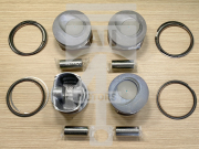 Поршень c кольцами и пальцем EPNS1303/ STD 1,2L CBZB/CBZA VAG 19mm ALL4MOTORS EPNS1303