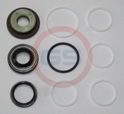 2KIT1511 GS Ремкомплект рулевой рейки Chrysler 300 M 1998-2004,Chrysler Vision 1993