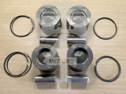 Поршень с кольцами и пальцем STD LR019699 STD 224DT DW12 2,2 CRDI Land Rover ALL4MOTORS EPNS0803