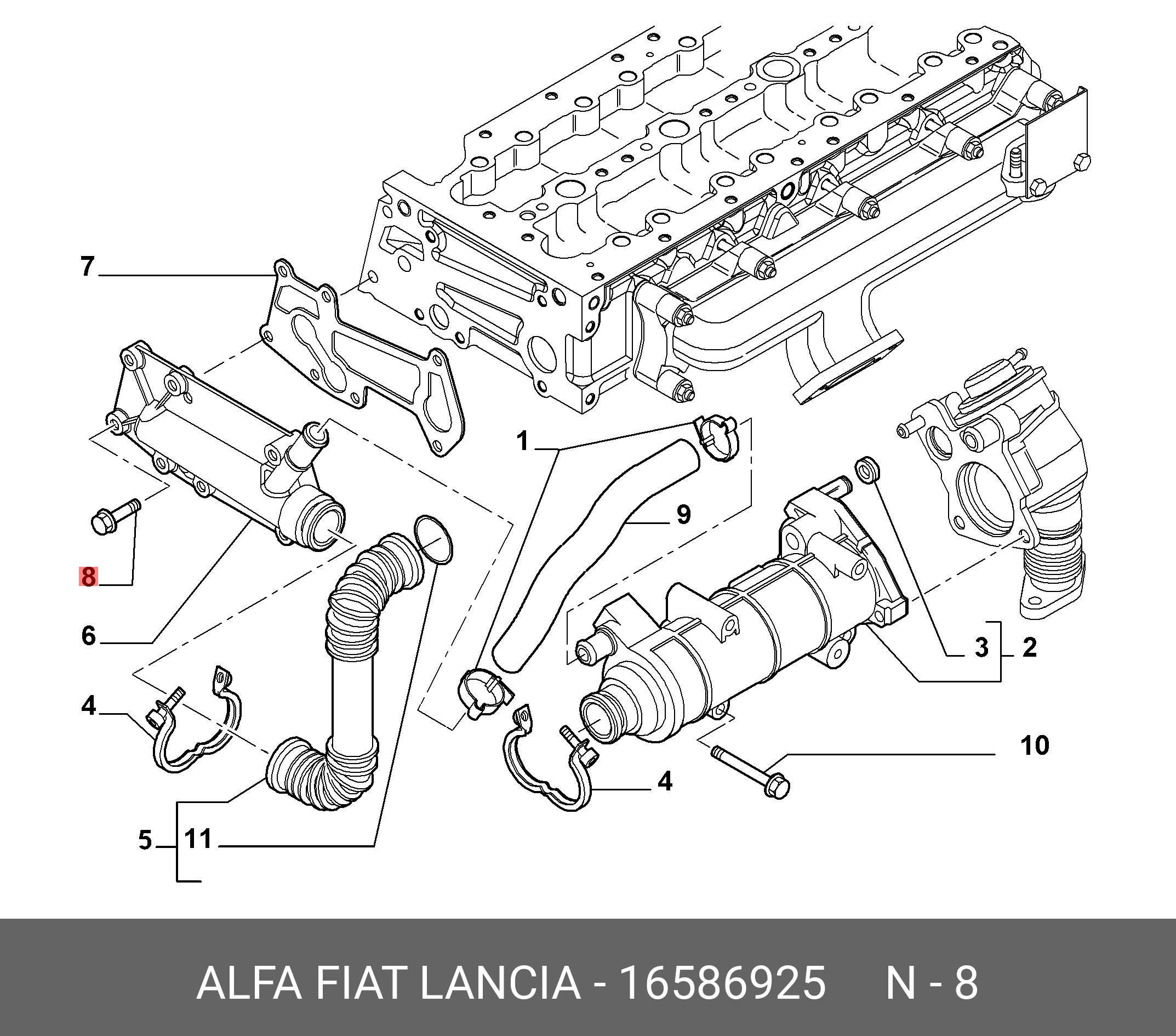 16586925 FIAT/ALFA/LANCIA Блот m6x14