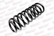 ST104239R STANDARD SPRINGS ПРУЖИНА ЗАДНЯЯ BMW