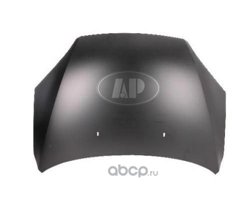 FD06101503000 API Капот