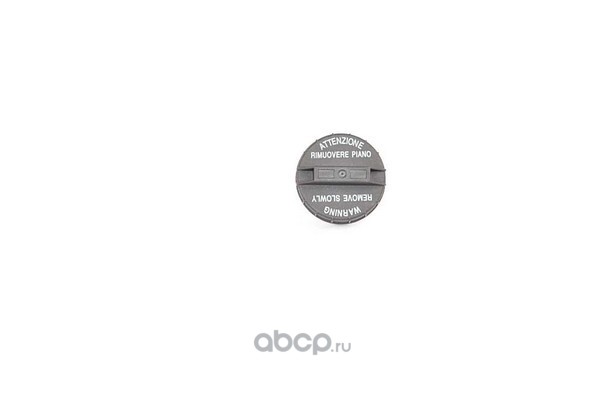 BSG40971001 BSG AUTO PARTS КРЫШКА БЕНЗОБАКА НАРУЖН.