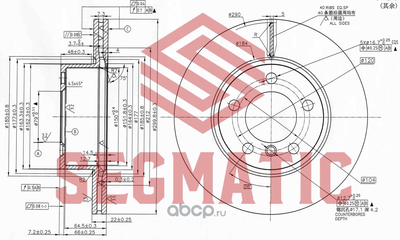 SBD30093118 SEGMATIC Диск тормозной пер BMW 1(F20), 3(F30), 4(F36), BMW 1 F20 118-120, BMW 3 F30 316-320 [300*73*22]
