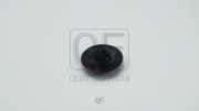 QF33G00009 QUATTRO FRENI КЛИПСА ПЛАСТМАССОВАЯ