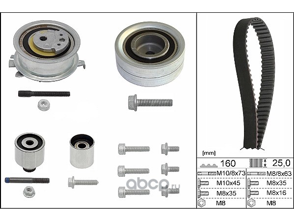 530055010 SCHAEFFLER GRUPPE Комплект ГРМ