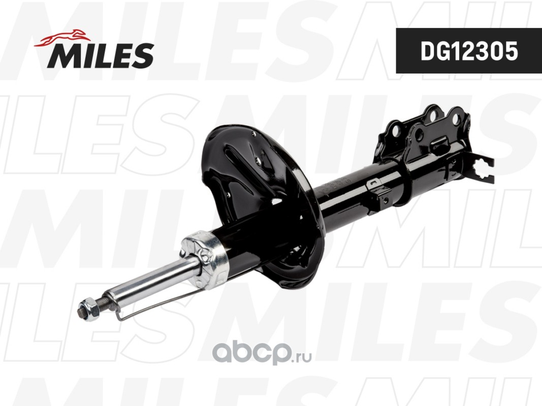 DG12305 MILES Амортизатор