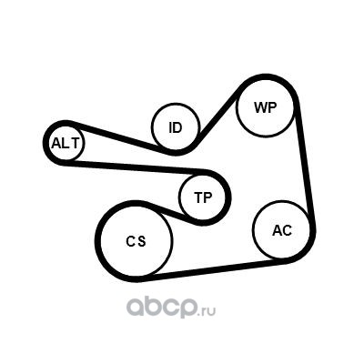 6PK1830K1 CONTINENTAL 