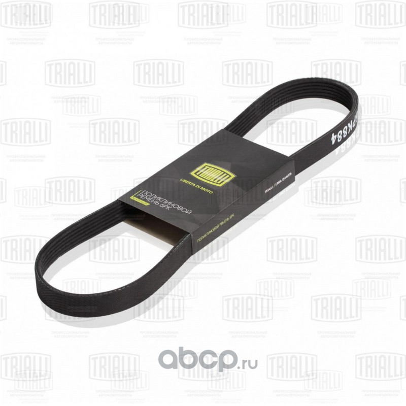 6PK1042E TRIALLI Ремень приводной для автомобилей Ford Focus I (98-) 1.4i/1.6i без AC (генератора) (ELAST)