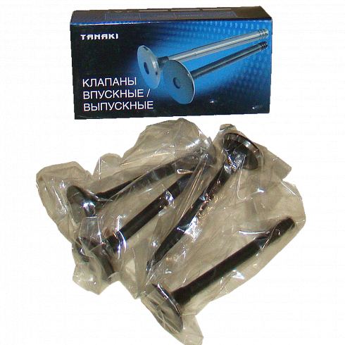 TKG100701580 TANAKI Клапан выпускной