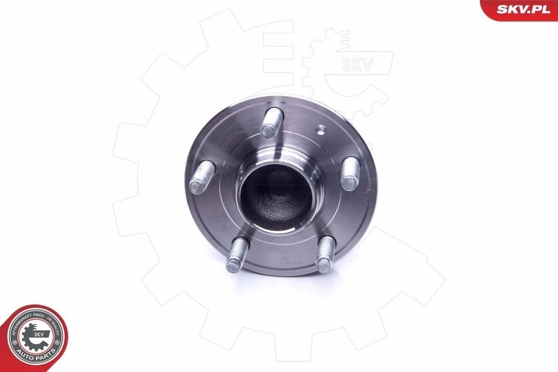 29SKV249 SKV Подшипник ступицы колеса