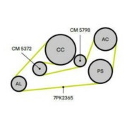 CM5798 TRIALLI Ролик приводного ремня для автомобилей VW Touareg (02-) 4.2i (опорный)