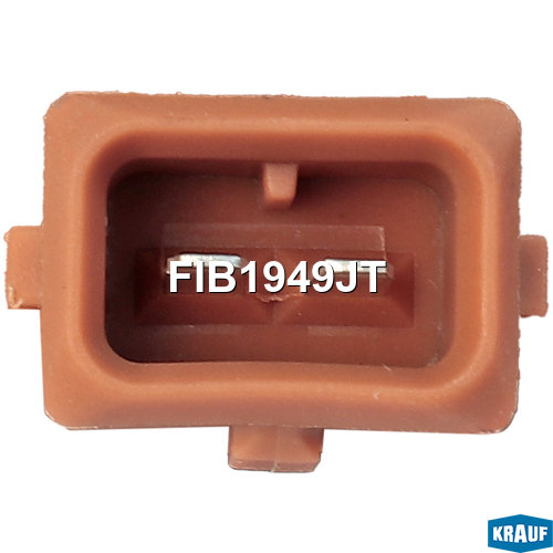 FIB1949JT KRAUF Форсунка бензиновая
