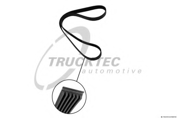 0219225 TRUCKTEC Поликлиновой ремень