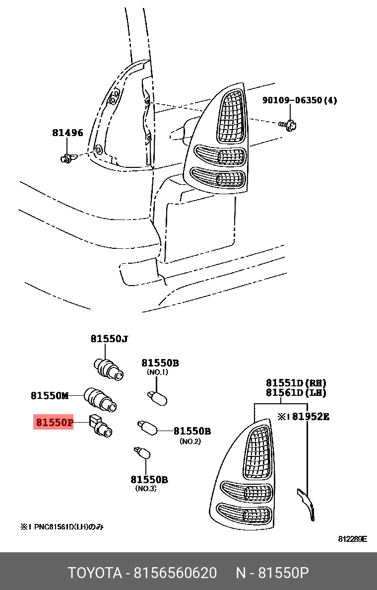 8156560620 TOYOTA ПАТРОН ЛАМПЫ