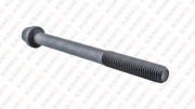 Болт крепления ГБЦ KSMG KP7161504