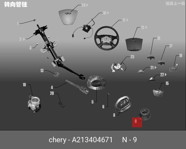 A213404671 CHERY LWR SHEALTH
