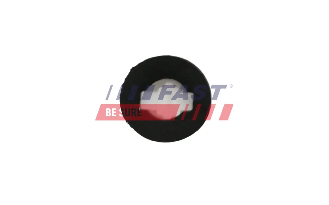 FT96604 FAST Деталь