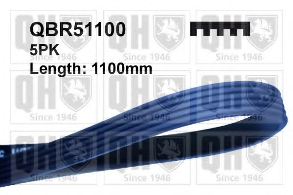 QBR51100 QUINTON HAZELL Ремень