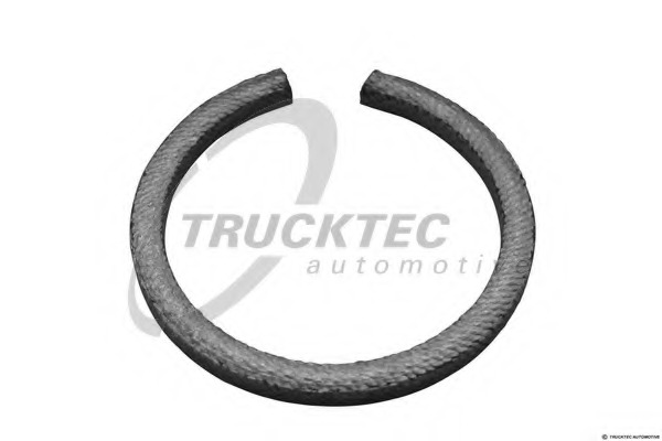 0267005 TRUCKTEC Уплотнительное кольцо
